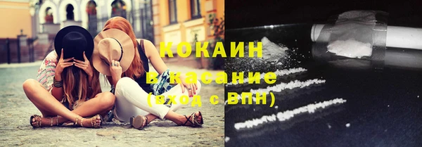 индика Пересвет