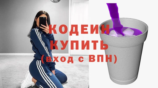 индика Пересвет