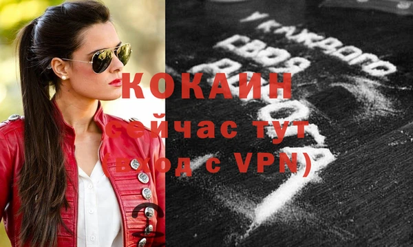 apvp Пестово