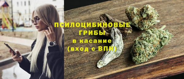 apvp Пестово