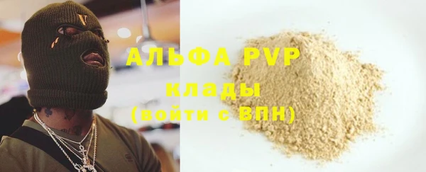индика Пересвет