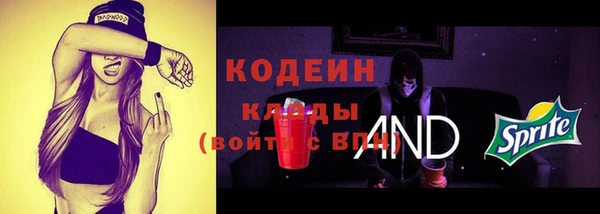 индика Пересвет