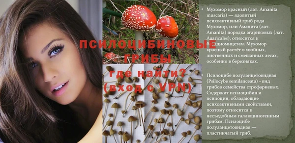 индика Пересвет