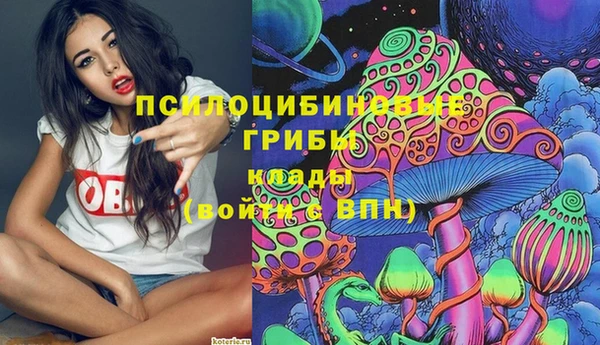 apvp Пестово