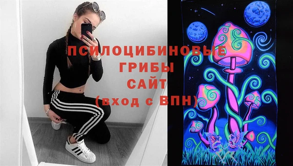 apvp Пестово