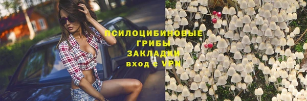 индика Пересвет