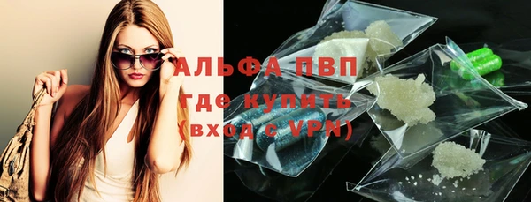 индика Пересвет