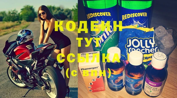 apvp Пестово