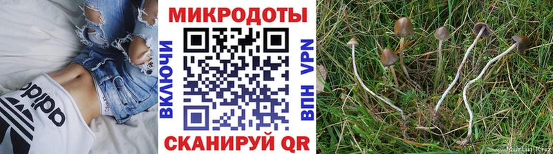 Галлюциногенные грибы мухоморы  продажа наркотиков  Малаховка 
